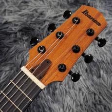 Ibanez AUP10N-OPN (Open Pore Natural)【新品特価】【6弦ナイロン】_6