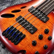 Ibanez SRD905F-BTL (Brown Topaz Burst Low Gloss) 【特価】【5弦フレットレス】_3