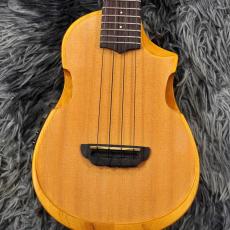 Ibanez AUC10E-OPN (Open Pore Natural)【特価】