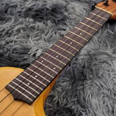 Ibanez AUC10E-OPN (Open Pore Natural)【特価】_5