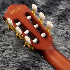 Ibanez FRH10N-NTF (Natural Flat) 【特価】【薄胴エレガット】【SPOTカラー】_7