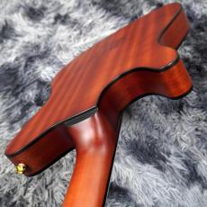 Ibanez FRH10N-NTF (Natural Flat) 【特価】【薄胴エレガット】【SPOTカラー】_9