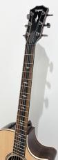 Taylor 814ce J-Spec_3