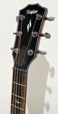 Taylor 814ce J-Spec_4