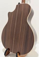 Taylor 814ce J-Spec_5