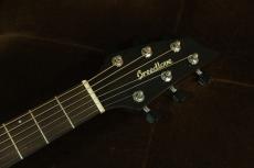 Breedlove Wildwood Pro Series Companion Suede CE African Mahogany 【アウトレット特価品】_5