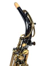 FORESTONE GX Black nickel_2