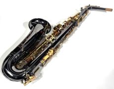 FORESTONE GX Black nickel_7