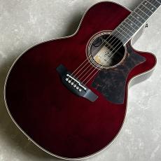 Takamine DMP50S WR エレアコギター 【島村楽器 x Takamine コラボモデル　現物写真】