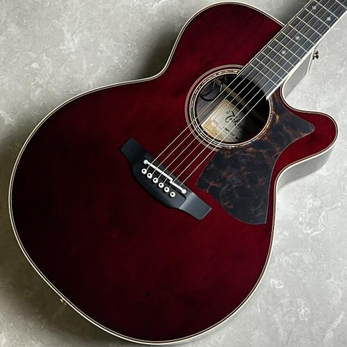 Takamine DMP50S WR エレアコギター 【島村楽器 x Takamine コラボモデル 現物写真】