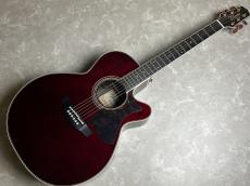 Takamine DMP50S WR エレアコギター 【島村楽器 x Takamine コラボモデル　現物写真】_2