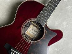 Takamine DMP50S WR エレアコギター 【島村楽器 x Takamine コラボモデル　現物写真】_4
