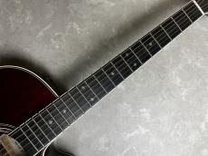 Takamine DMP50S WR エレアコギター 【島村楽器 x Takamine コラボモデル　現物写真】_5