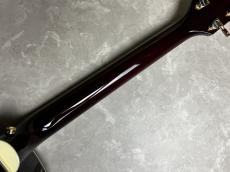Takamine DMP50S WR エレアコギター 【島村楽器 x Takamine コラボモデル　現物写真】_9