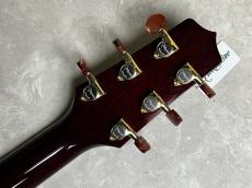 Takamine DMP50S WR エレアコギター 【島村楽器 x Takamine コラボモデル　現物写真】_10