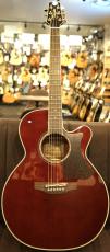 Takamine DMP551C WR【トップシダー】【オススメ機種】_2