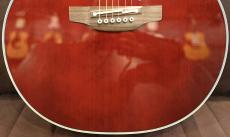 Takamine DMP551C WR【トップシダー】【オススメ機種】_3