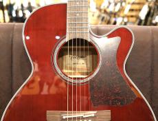 Takamine DMP551C WR【トップシダー】【オススメ機種】_4