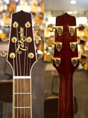 Takamine DMP551C WR【トップシダー】【オススメ機種】_10