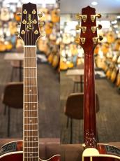Takamine DMP551C WR【トップシダー】【オススメ機種】_11