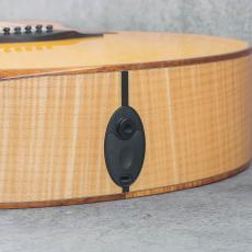 Taylor Maple GC-e 2018_10
