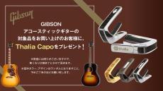 Gibson 1929 Nick Lucas Special Light Aged_11