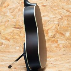 Gibson J-45 Special VS_5