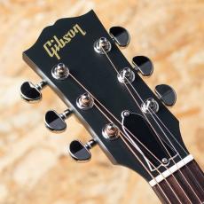 Gibson J-45 Special VS_8