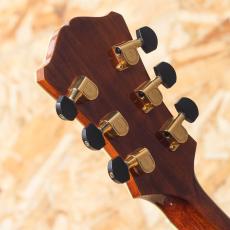 Eastman AR-805 Antique Red_9