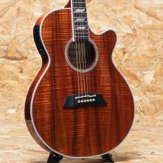 Takamine TSP178ACK N