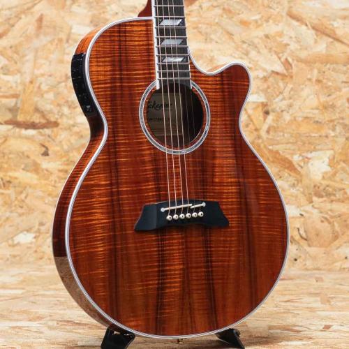 Takamine TSP178ACK N