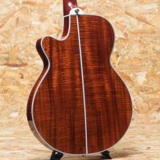 Takamine TSP178ACK N_2