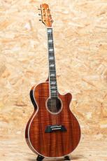 Takamine TSP178ACK N_3