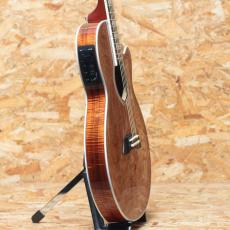 Takamine TSP178ACK N_4