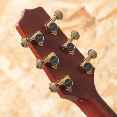 Takamine TSP178ACK N_9