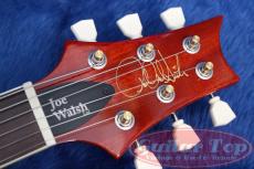 Paul Reed Smith [PRS] McCarty 594 Singlecut Joe Walsh Limited Edition '21_4