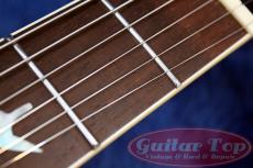 Paul Reed Smith [PRS] McCarty 594 Singlecut Joe Walsh Limited Edition '21_5