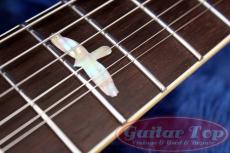Paul Reed Smith [PRS] McCarty 594 Singlecut Joe Walsh Limited Edition '21_6