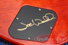 Paul Reed Smith [PRS] McCarty 594 Singlecut Joe Walsh Limited Edition '21_14