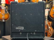 POLYTONE MINI-BRUTE【Vintage】_4