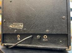 POLYTONE MINI-BRUTE【Vintage】_7