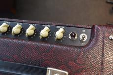 Fender FSR Blues Junior IV -Red Snake Texas-_7