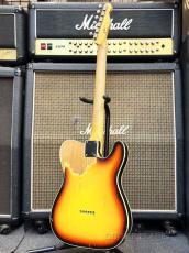 Nash Guitars TC-63 Left Handed -3 Tone Sunburst / Light Aged- 2017年製【Lefty!】【Lindy Fralin Pickups!】_4