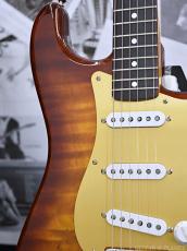 Fender Custom Shop ~Fender Experience 2025 CS Show Display #68~ Rose Myrtle Stratocaster N.O.S. -Tabacco Sunburst-_8