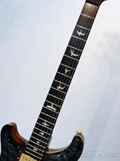 Paul Reed Smith [PRS] Private Stock #3027 McCarty Brazilian Left Hand Brazilian -Aquamarine - 2011USED!!_6