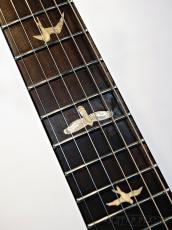 Paul Reed Smith [PRS] Private Stock #3027 McCarty Brazilian Left Hand Brazilian -Aquamarine - 2011USED!!_8