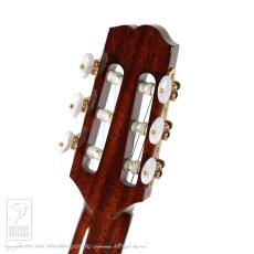 Switch NJ-70C RW -Nylon Jazz-【60回無金利対象品】_8
