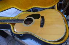 K Yairi YW500P