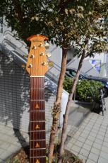 Ovation Adamas 1581-8_3