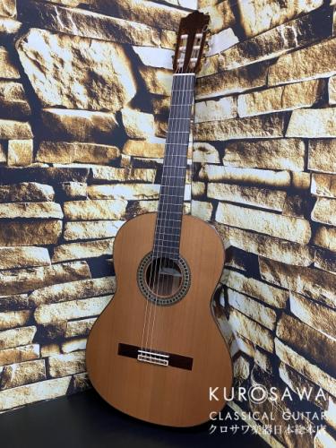 Paco Castillo パコ・カスティージョ 204C 杉・ローズ